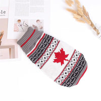 Cute Winter Sweater for Small Dogs - Trusted Pet Products