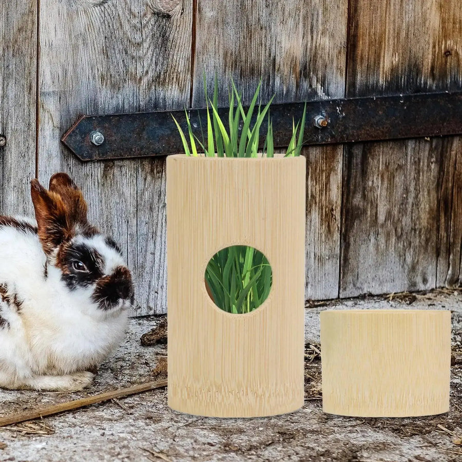 Hay Feeder Feeding Grass Holder, Multifunctional Food Feeding Rack Bunny Hay - Trusted Pet Products