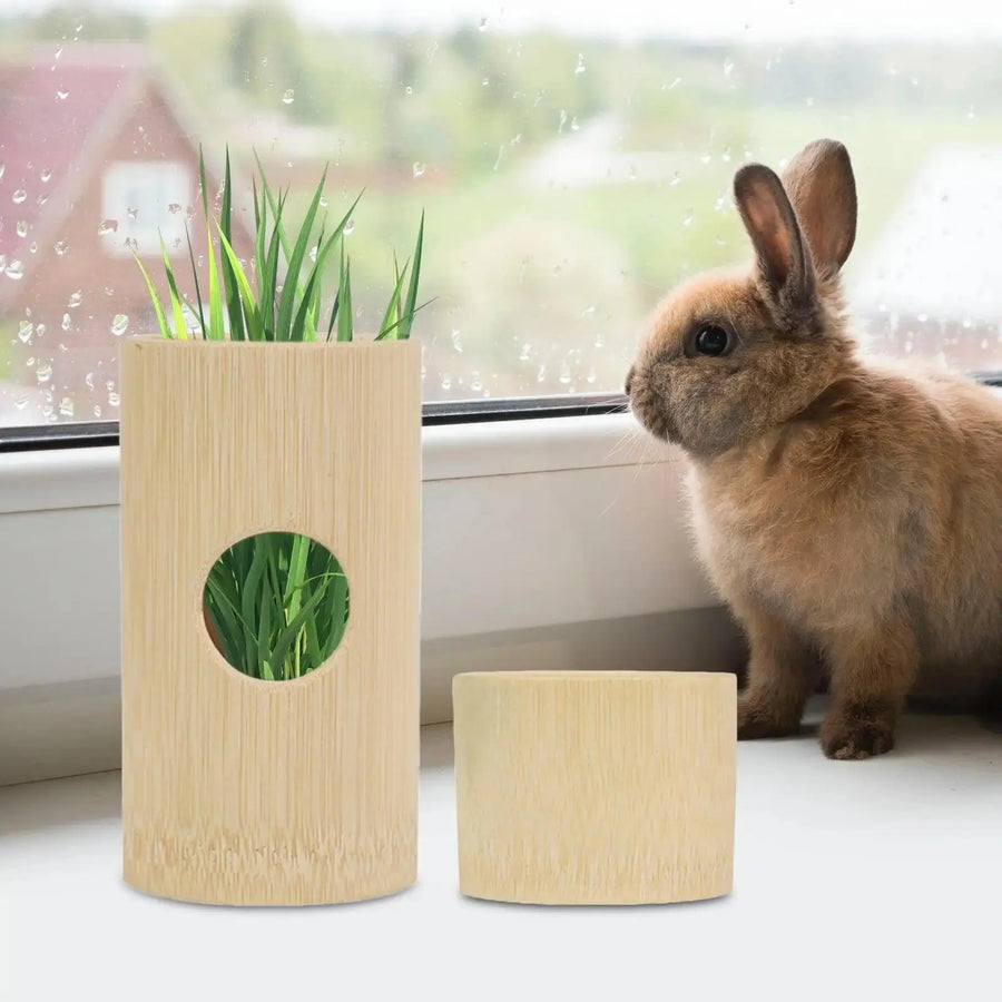 Hay Feeder Feeding Grass Holder, Multifunctional Food Feeding Rack Bunny Hay - Trusted Pet Products