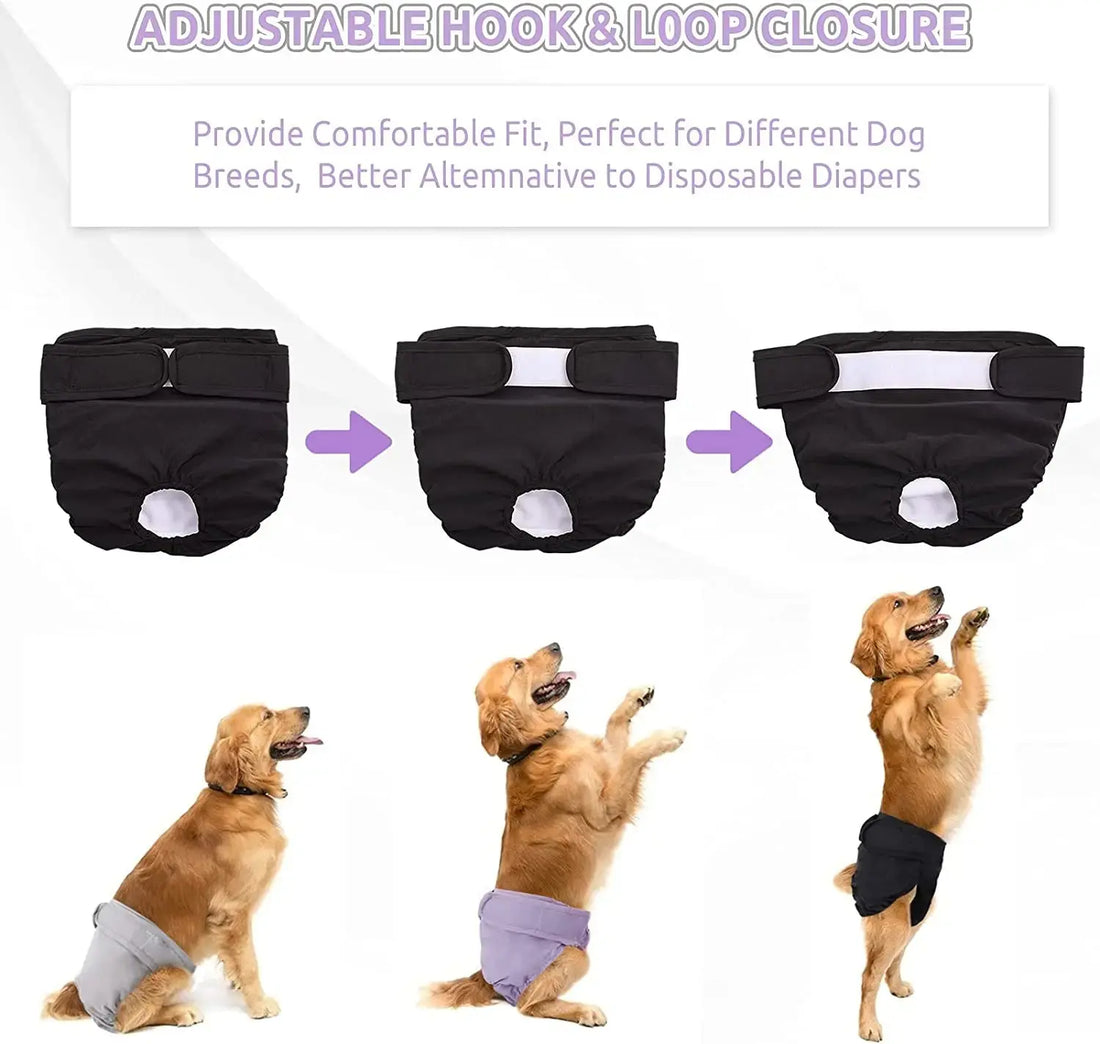 High Absorbent Reusable Female Dog Diapers Trusted Pet Products