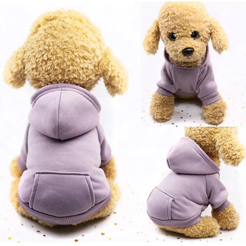 Hoodie Jacket For Dogs Trusted Pet Products