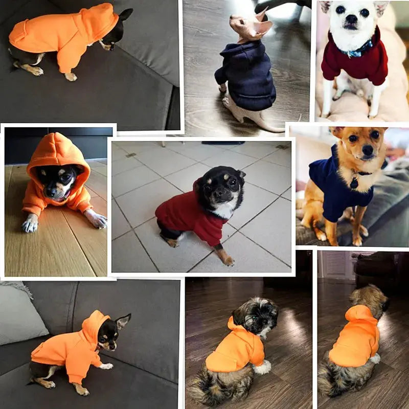 Hoodie Jacket For Dogs Trusted Pet Products