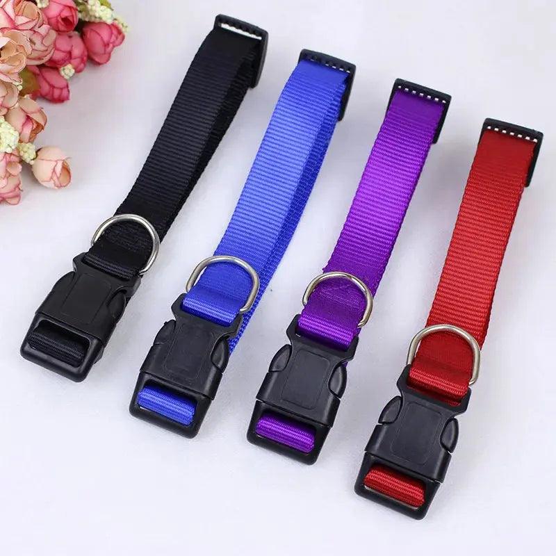 Nylon Webbing Dog Collar Heavy Duty Clip Buckle Solid Pet Collar for Small Medium Dogs Chihuahua Dog Teddy Keji Pitbull Bulldog - Trusted Pet Products