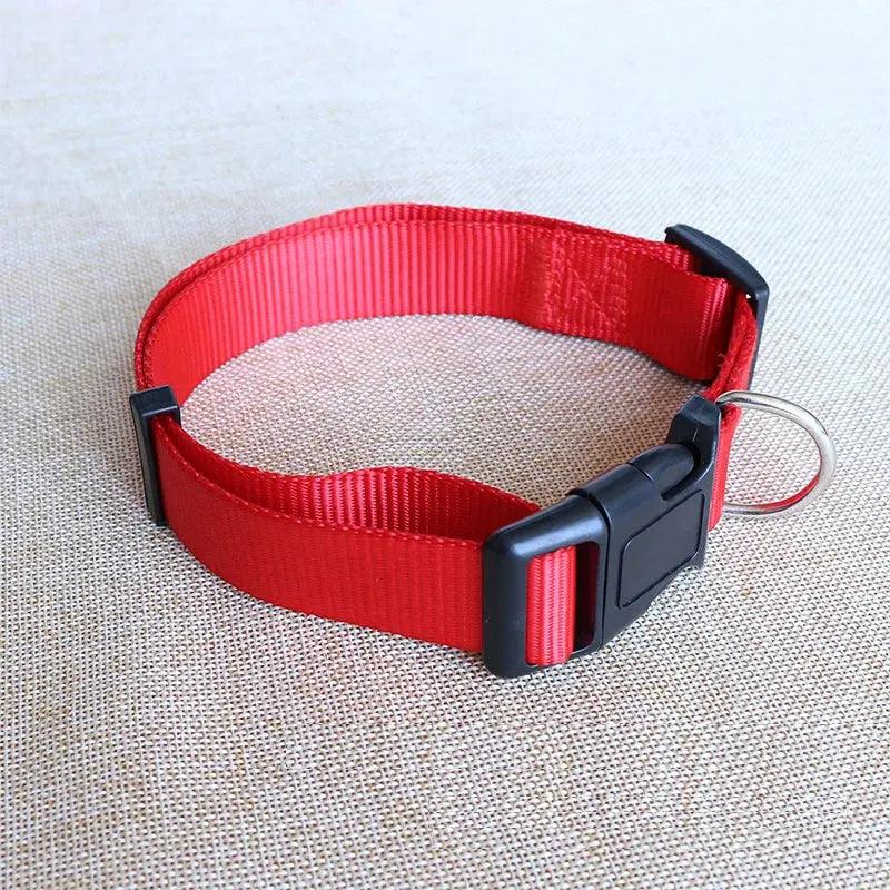 Nylon Webbing Dog Collar Heavy Duty Clip Buckle Solid Pet Collar for Small Medium Dogs Chihuahua Dog Teddy Keji Pitbull Bulldog - Trusted Pet Products