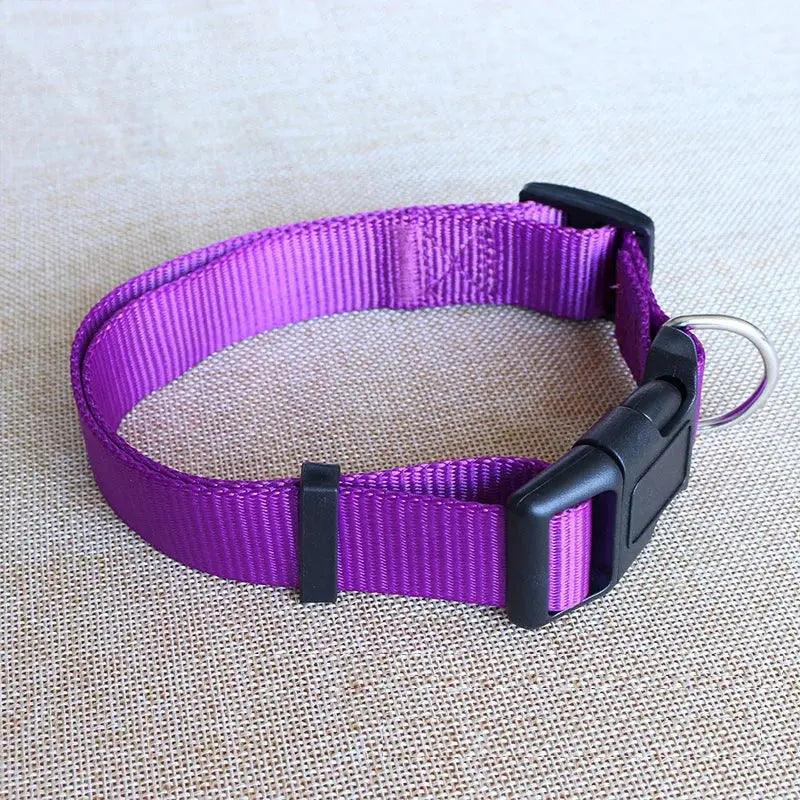 Nylon Webbing Dog Collar Heavy Duty Clip Buckle Solid Pet Collar for Small Medium Dogs Chihuahua Dog Teddy Keji Pitbull Bulldog - Trusted Pet Products