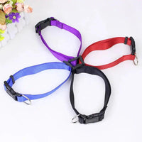 Nylon Webbing Dog Collar Heavy Duty Clip Buckle Solid Pet Collar for Small Medium Dogs Chihuahua Dog Teddy Keji Pitbull Bulldog - Trusted Pet Products