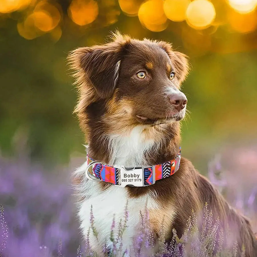 Personalized Engraved Name Large Dog Collar with Cute Print Trusted Pet Products