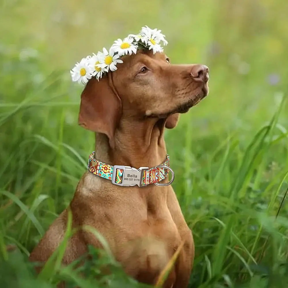 Personalized Engraved Name Large Dog Collar with Cute Print Trusted Pet Products