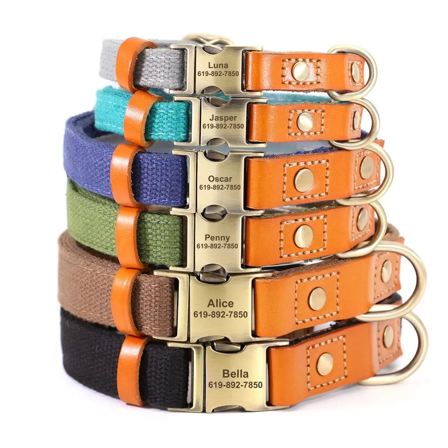 Personalized Nylon Collar and Leash Set Trusted Pet Products