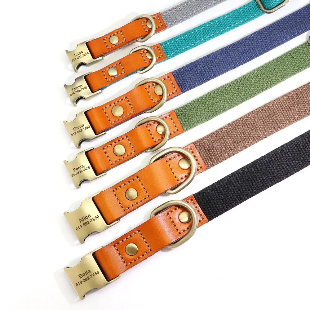 Personalized Nylon Collar and Leash Set Trusted Pet Products