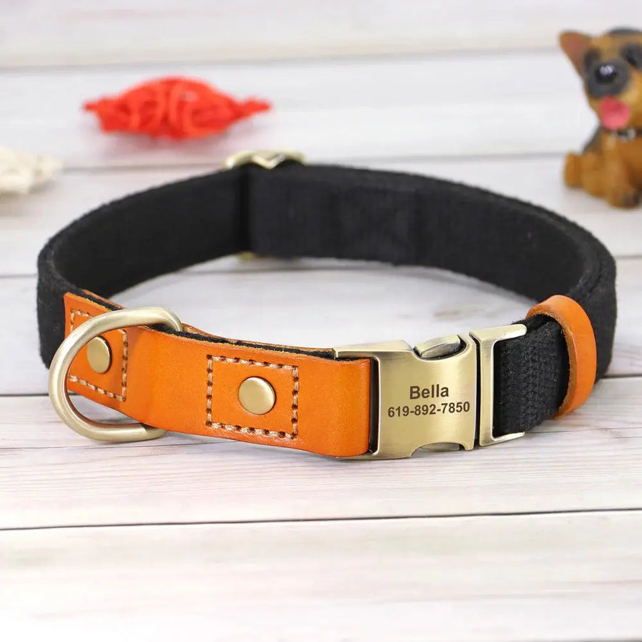 Personalized Nylon Collar and Leash Set Trusted Pet Products