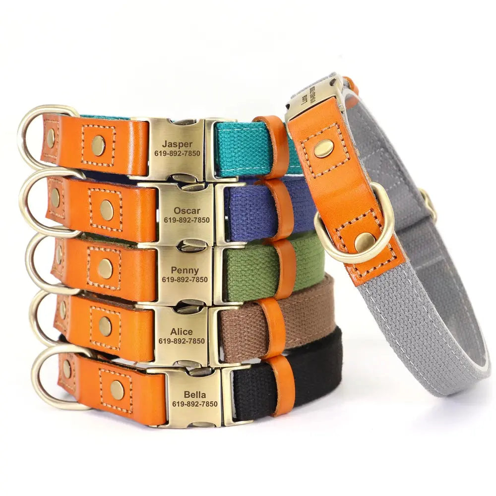 Personalized Nylon Collar and Leash Set Trusted Pet Products