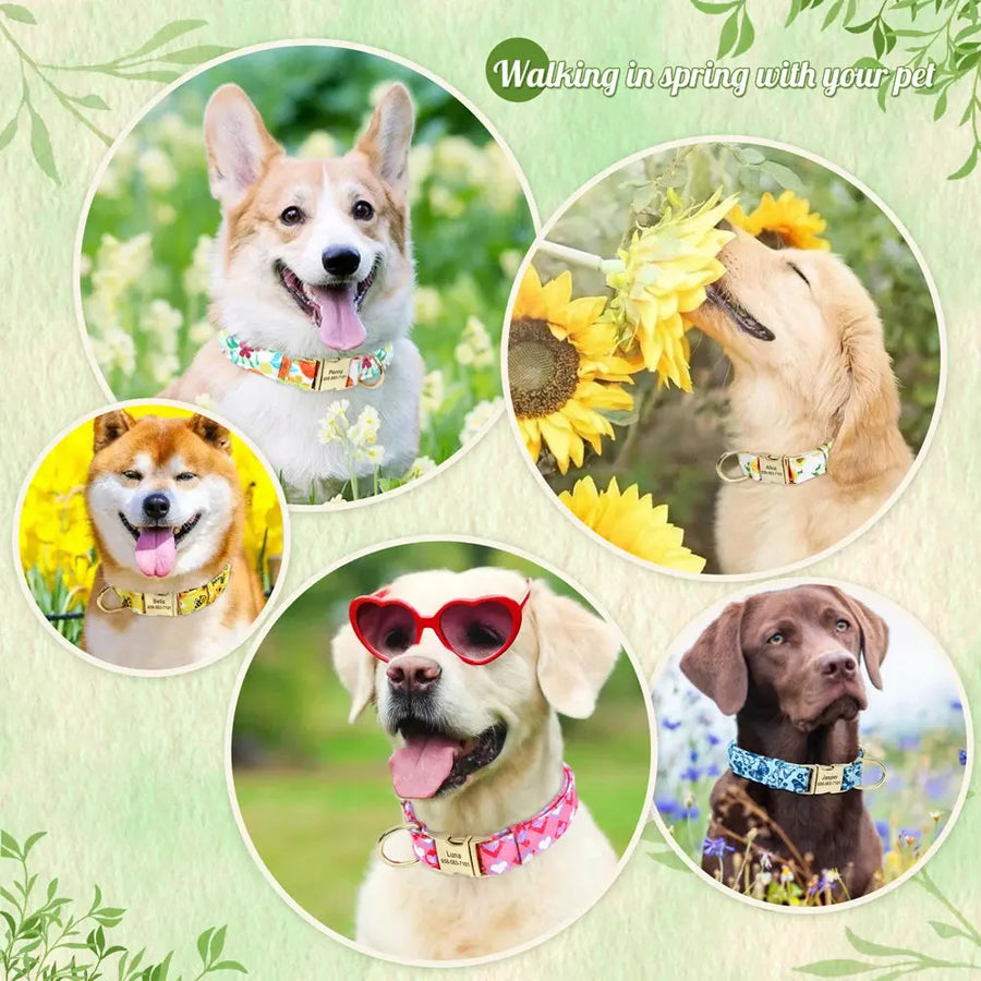 Personalized Nylon Printed Dog Collar Trusted Pet Products