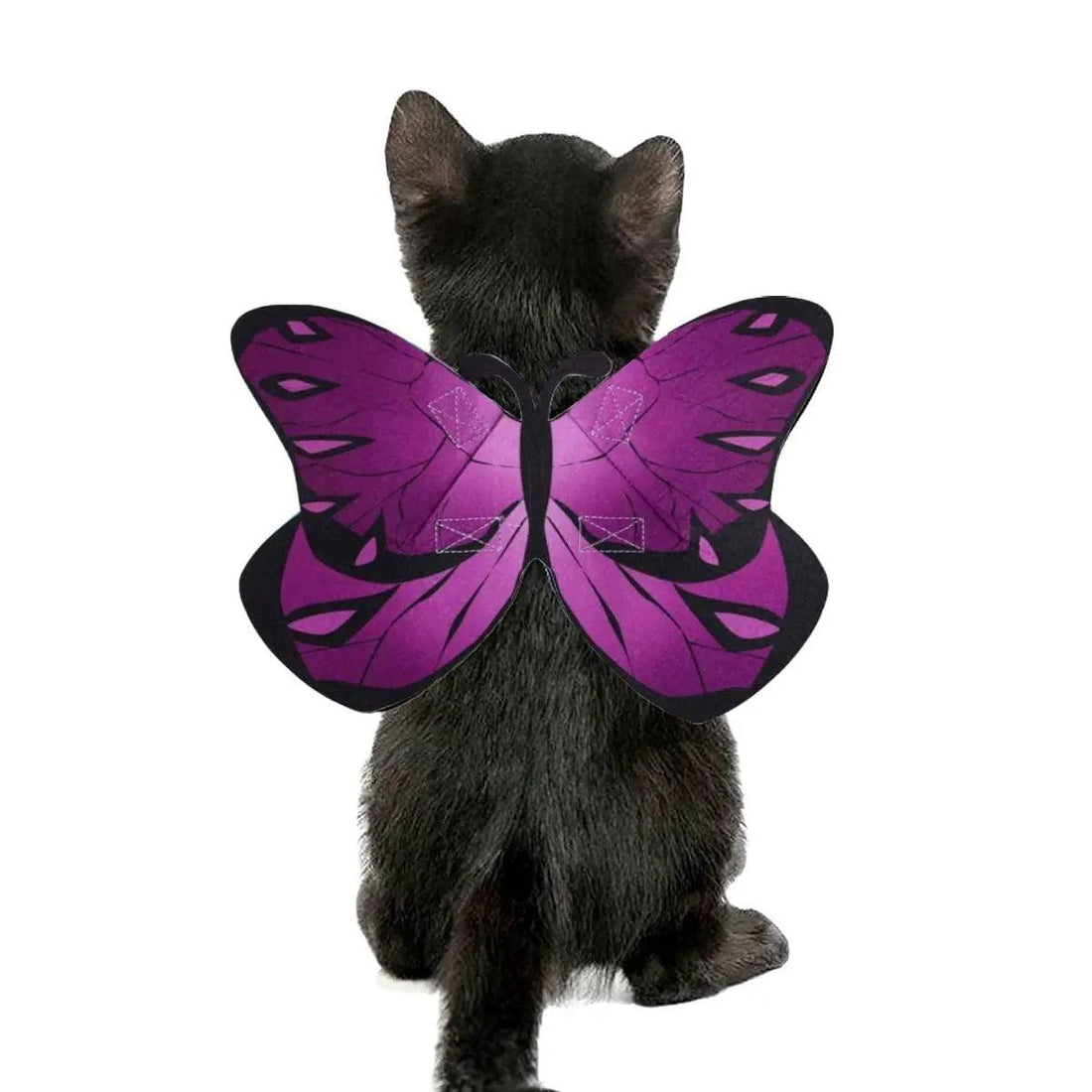 Pet Cat Bat Wings for Halloween Party Decoration - Trusted Pet Products