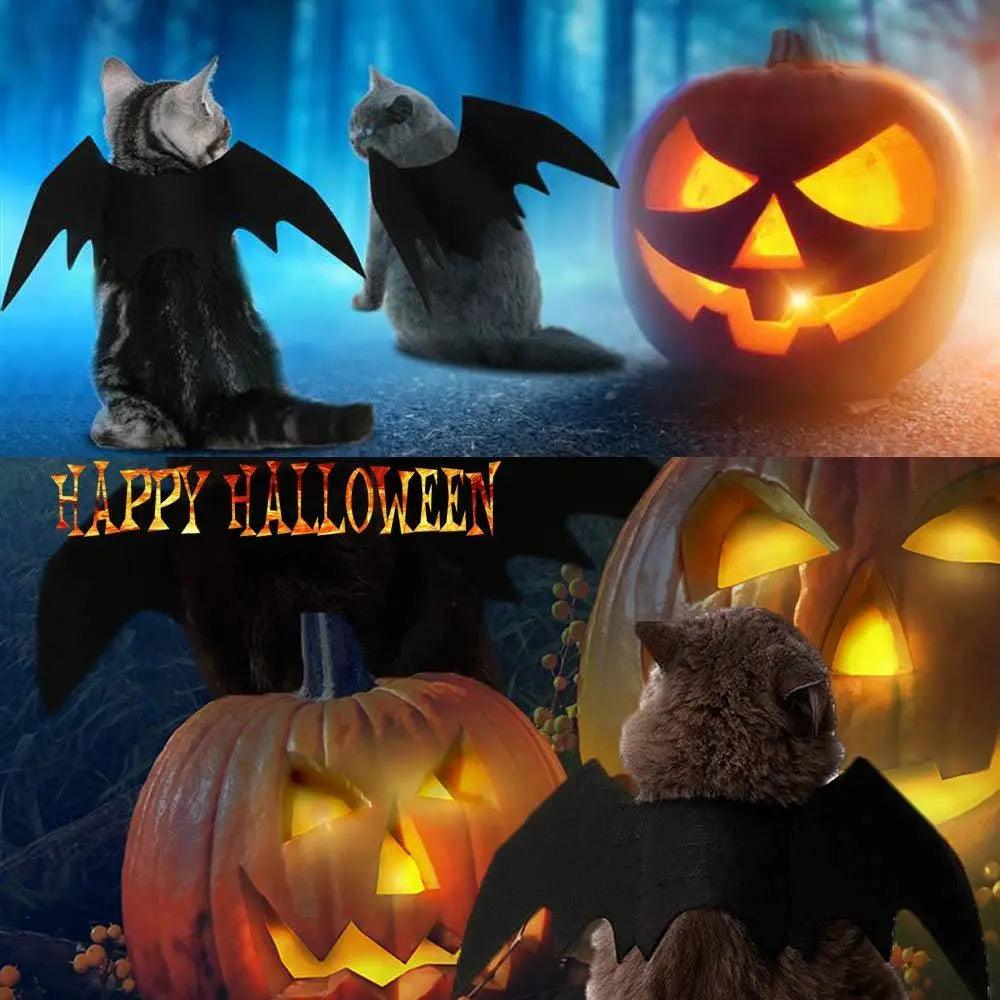 Pet Cat Bat Wings for Halloween Party Decoration - Trusted Pet Products