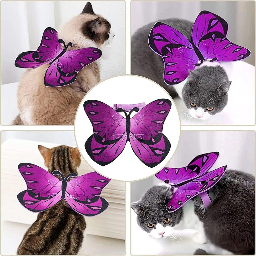 Pet Cat Bat Wings for Halloween Party Decoration - Trusted Pet Products