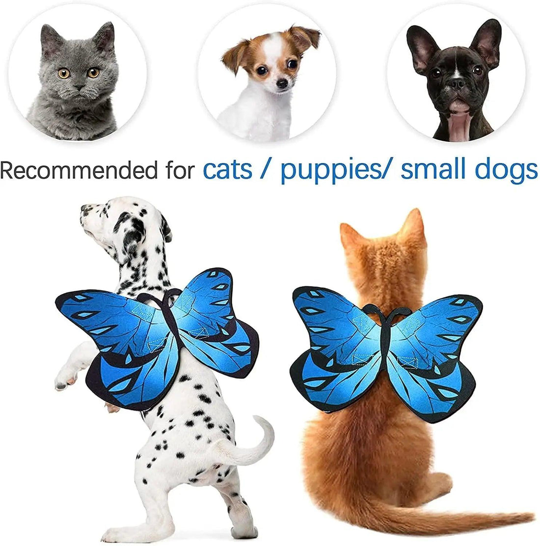 Pet Cat Bat Wings for Halloween Party Decoration - Trusted Pet Products