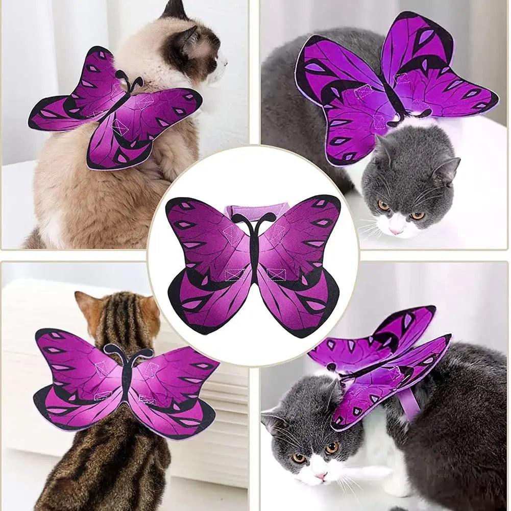 Pet Cat Bat Wings for Halloween Party Decoration - Trusted Pet Products