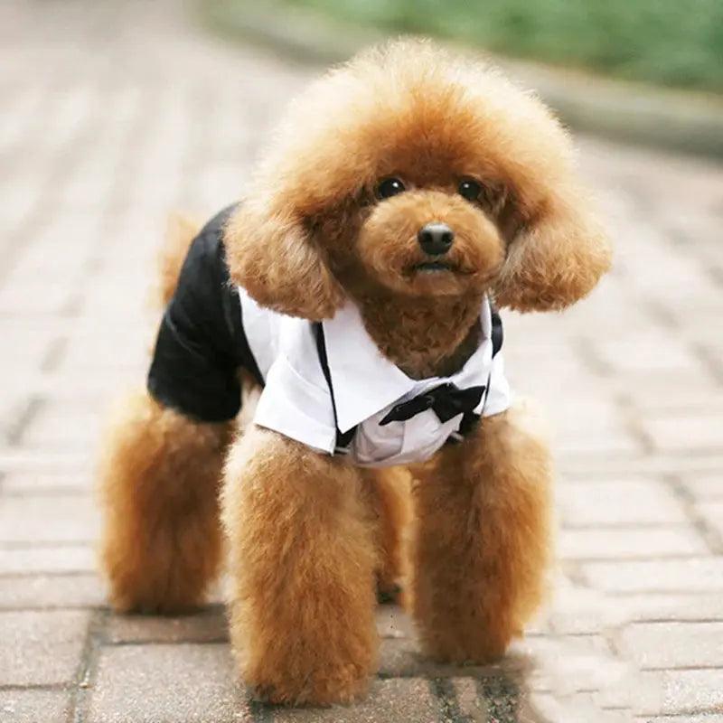 Pet Dog Cat Clothes Prince Tuxedo Bow Tie Suit Chihuahua Coat Handsome Pets Dog Suit Wedding Dress Jumpsuit Coat S-XXL - Trusted Pet Products