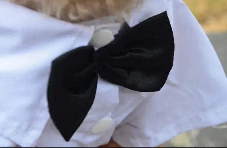 Pet Dog Cat Clothes Prince Tuxedo Bow Tie Suit Chihuahua Coat Handsome Pets Dog Suit Wedding Dress Jumpsuit Coat S-XXL - Trusted Pet Products