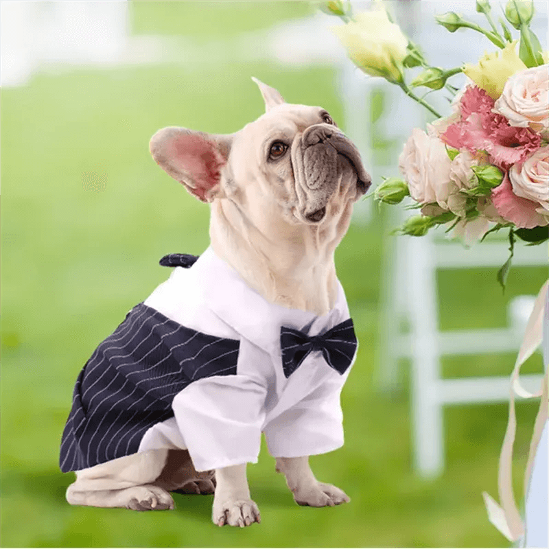 Pet Dog Cat Clothes Prince Tuxedo Bow Tie Suit Chihuahua Coat Handsome Pets Dog Suit Wedding Dress Jumpsuit Coat S-XXL - Trusted Pet Products