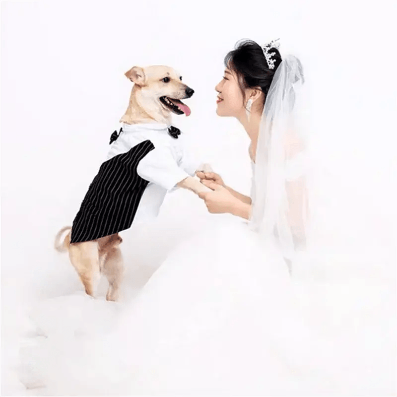 Pet Dog Cat Clothes Prince Tuxedo Bow Tie Suit Chihuahua Coat Handsome Pets Dog Suit Wedding Dress Jumpsuit Coat S-XXL - Trusted Pet Products