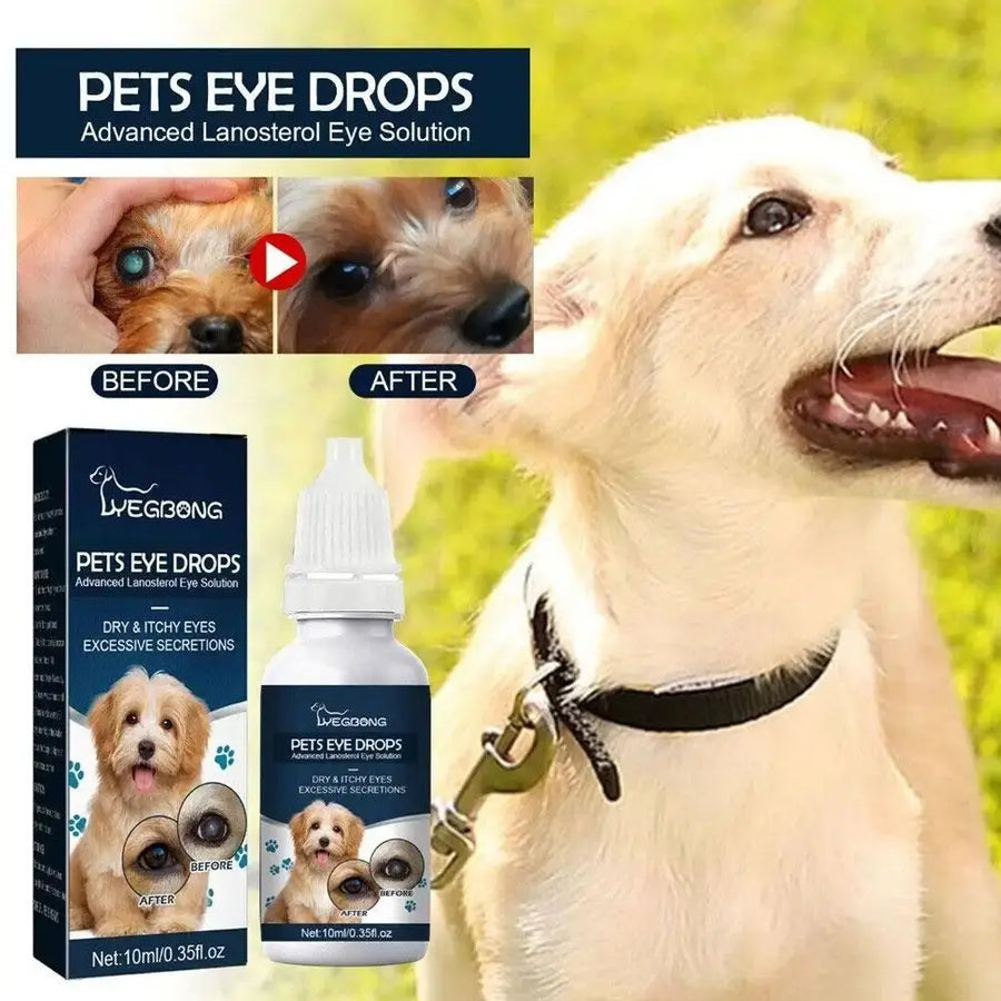 Pet Eye Drops Tear Stains Remover Cataracts Eye Care Treating For Dry Eyes Pet Tear Stain Remover Eye Lubricating Eye Drops R8H2 - Trusted Pet Products