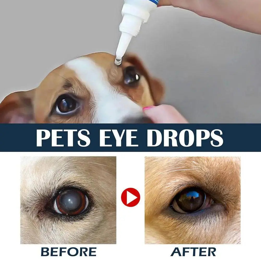 Pet Eye Drops Tear Stains Remover Cataracts Eye Care Treating For Dry Eyes Pet Tear Stain Remover Eye Lubricating Eye Drops R8H2 - Trusted Pet Products