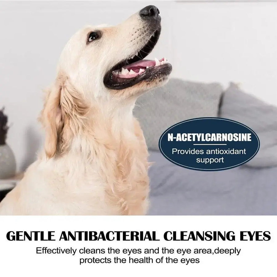 Pet Eye Drops Tear Stains Remover Cataracts Eye Care Treating For Dry Eyes Pet Tear Stain Remover Eye Lubricating Eye Drops R8H2 - Trusted Pet Products