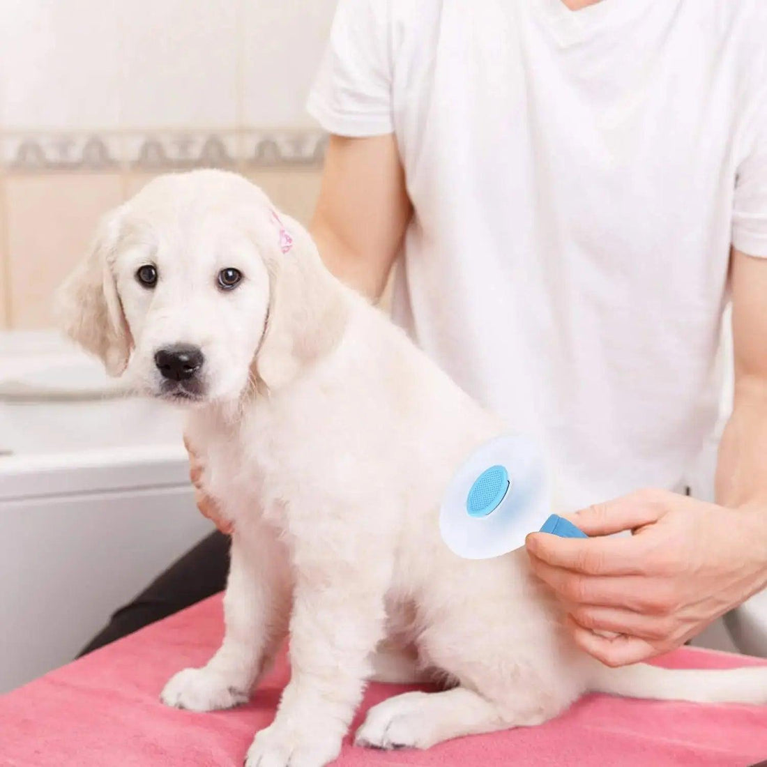 Pet Loose Hair Remover Brush - Trusted Pet Products