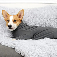 Pet One-piece Long-sleeved 4-leg Pet Clothing For Family Car Travel Surgery Recovery Body Outfits - Trusted Pet Products