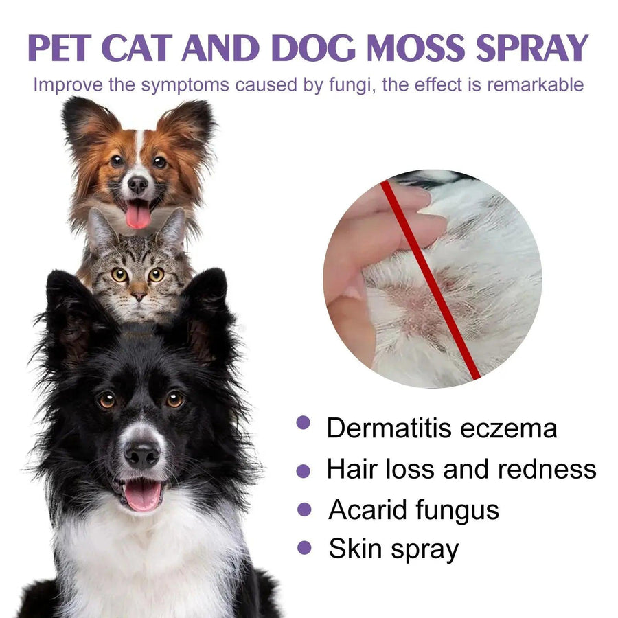 Pet Skin Care Spray Flea Lice Insect Killer Mites Eliminator Treatment to Soothe Itching 60ml - Trusted Pet Products