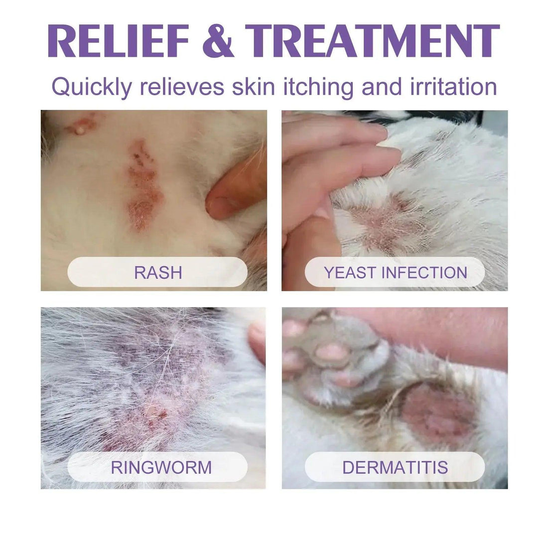 Pet Skin Care Spray Flea Lice Insect Killer Mites Eliminator Treatment to Soothe Itching 60ml - Trusted Pet Products