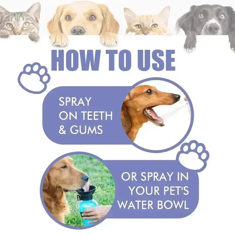 Pet Teeth Cleaning Spray Oral Care for Fresh Breath and Removing Tooth Stains Trusted Pet Products