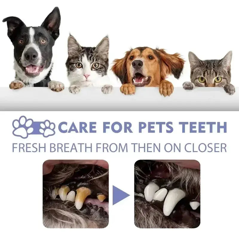 Pet Teeth Cleaning Spray Oral Care for Fresh Breath and Removing Tooth Stains Trusted Pet Products