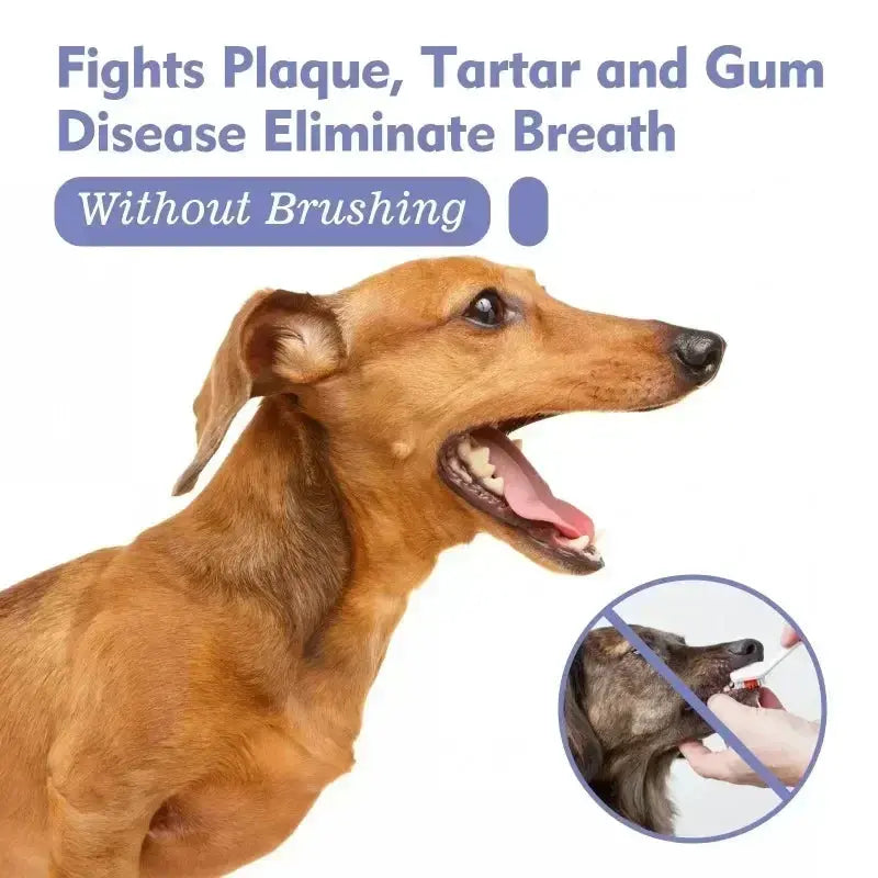 Pet Teeth Cleaning Spray Oral Care for Fresh Breath and Removing Tooth Stains Trusted Pet Products