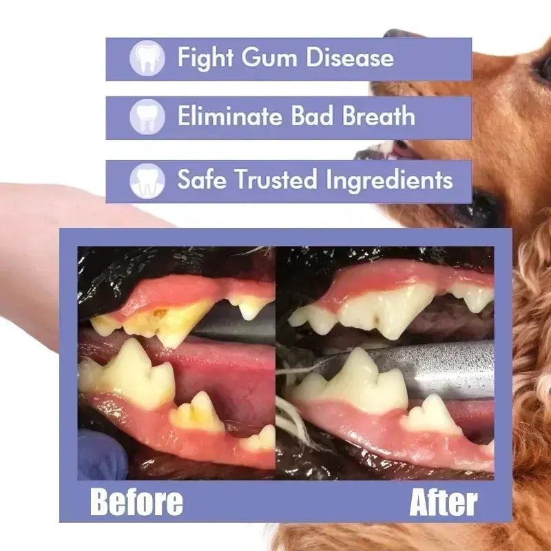 Pet Teeth Cleaning Spray Oral Care for Fresh Breath and Removing Tooth Stains Trusted Pet Products