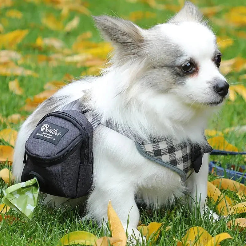 Portable Dog Training Treat Bag - Snack Reward Waist Bag Poop Bag Dispenser Trusted Pet Products