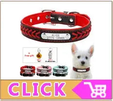 Quick Release Cat Collar Safety Custom Puppy Kitten ID Collars Reflective Breakaway With Bell For Small Cats Adjustable XXS XS - Trusted Pet Products