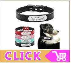 Quick Release Cat Collar Safety Custom Puppy Kitten ID Collars Reflective Breakaway With Bell For Small Cats Adjustable XXS XS - Trusted Pet Products