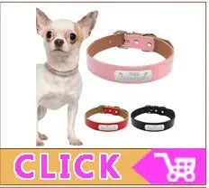 Quick Release Cat Collar Safety Custom Puppy Kitten ID Collars Reflective Breakaway With Bell For Small Cats Adjustable XXS XS - Trusted Pet Products