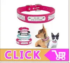 Quick Release Cat Collar Safety Custom Puppy Kitten ID Collars Reflective Breakaway With Bell For Small Cats Adjustable XXS XS - Trusted Pet Products