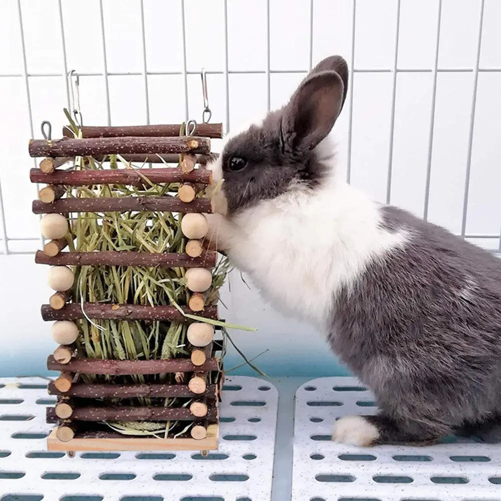 Rabbit Wooden Grass Shelf Bite Resistant Hanging Hay Food Feeder Small Animals Feeding Hay Manager For Guinea Pig Pet Supplies - Trusted Pet Products