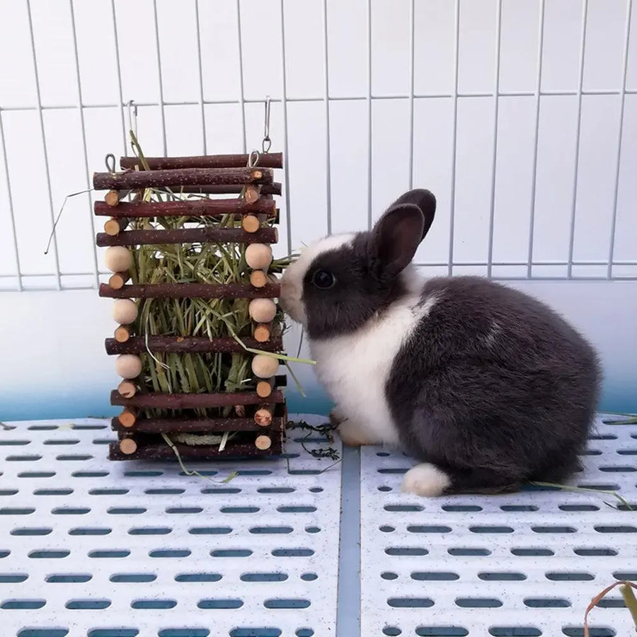 Rabbit Wooden Grass Shelf Bite Resistant Hanging Hay Food Feeder Small Animals Feeding Hay Manager For Guinea Pig Pet Supplies - Trusted Pet Products