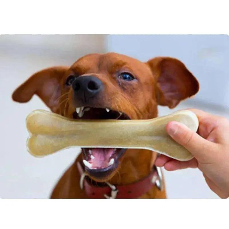 Robust Dog Chew Toys Cowhide Dental Sticks Canine Treats - Trusted Pet Products