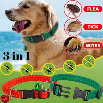 Safe and Effective Insecticidal Dog Collar Anti Flea Mite Tick Neck Strap - Trusted Pet Products