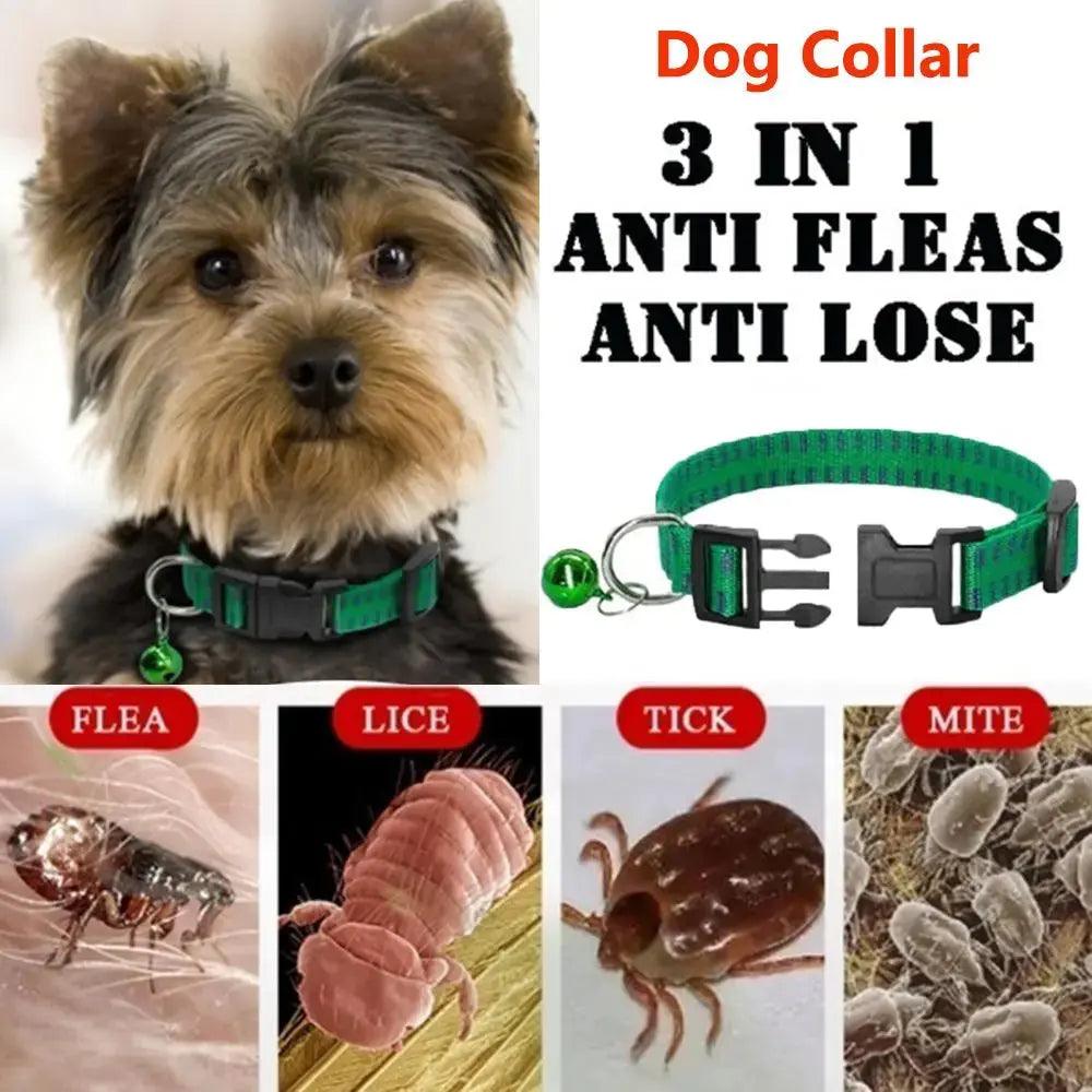 Safe and Effective Insecticidal Dog Collar Anti Flea Mite Tick Neck Strap - Trusted Pet Products