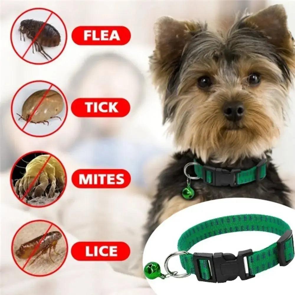 Safe and Effective Insecticidal Dog Collar Anti Flea Mite Tick Neck Strap - Trusted Pet Products