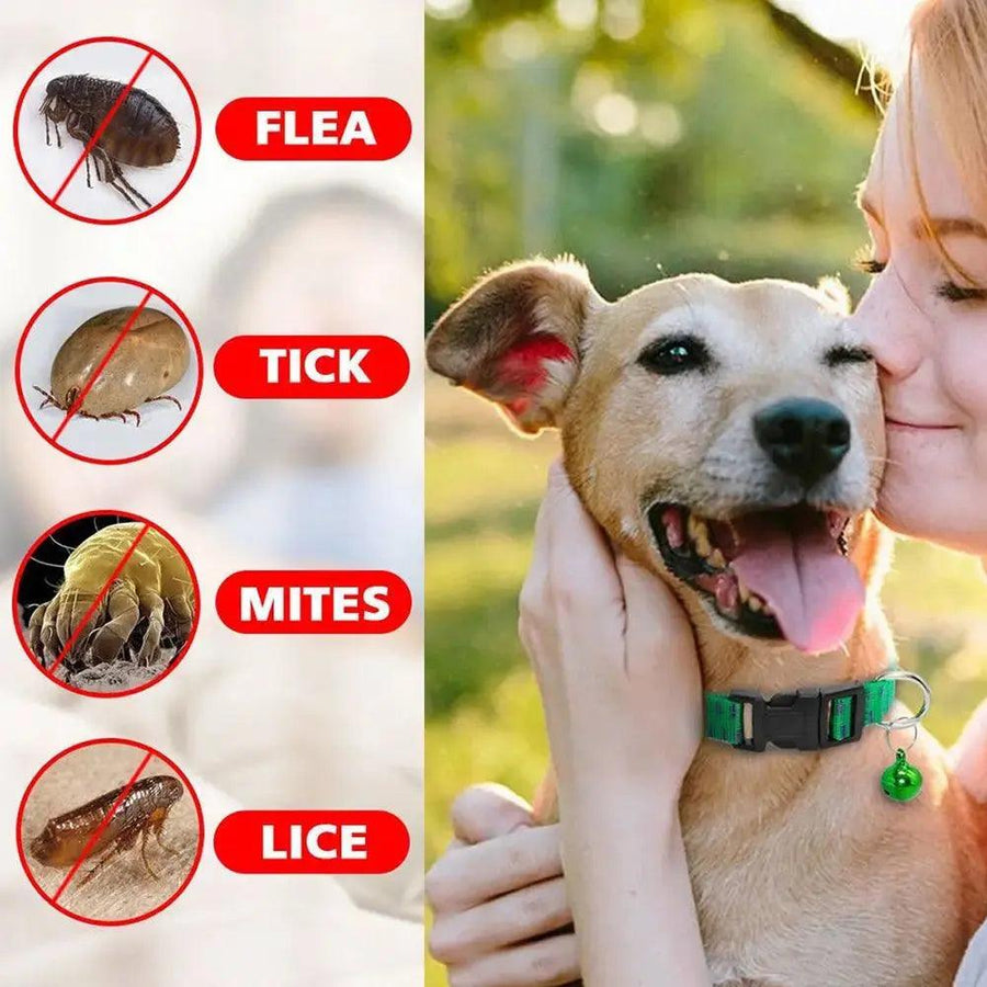 Safe and Effective Insecticidal Dog Collar Anti Flea Mite Tick Neck Strap - Trusted Pet Products