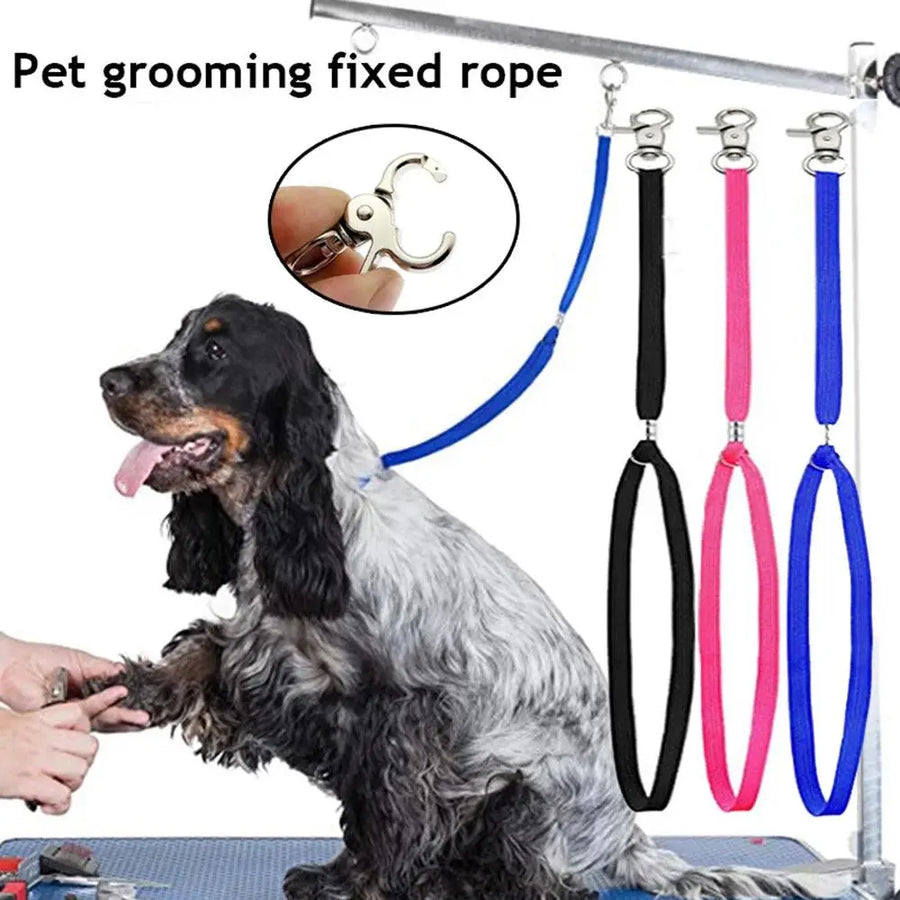 Safety Rope Nylon Restraint Noose Fixed Dog Cat Pet Grooming Loops Leash Leads Adjustable Pet Grooming Table Pet Supplies Perros - Trusted Pet Products